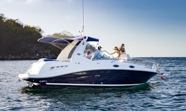 Sea Ray Sundancer 26' Power Yacht Private Yacht in Puerto Vallarta