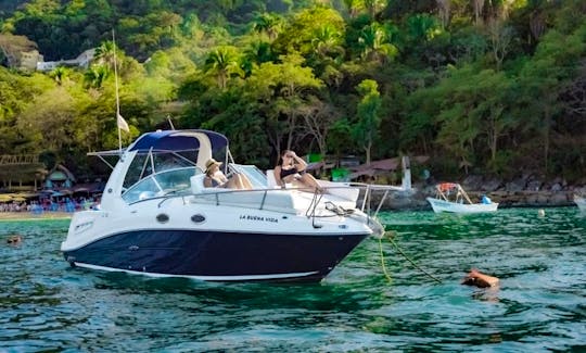 Sea Ray Sundancer 26' Power Yacht Private Yacht in Puerto Vallarta, Mexico