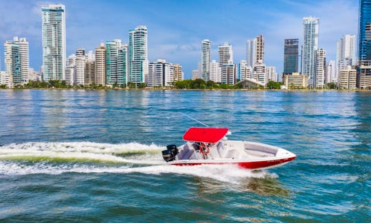 Fireboy - 29 speedboat in Cartagena de Indias