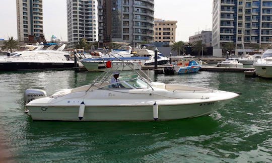 Conwy 28ft Powerboat for rent in Dubai