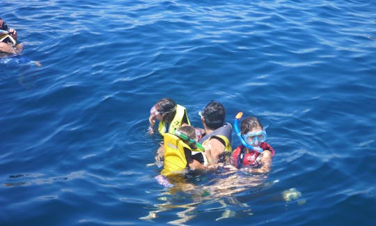 Buceo en un arrecife local (alquiler privado), Cancún, México