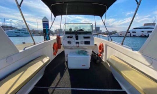 Lancha Tecnoboat 29 pés para passeios no Rio de Janeiro