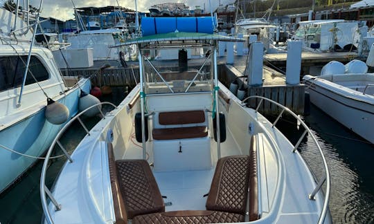 28ft Persuit Open Cab Powerboat for rent in Fajardo, Puerto Rico