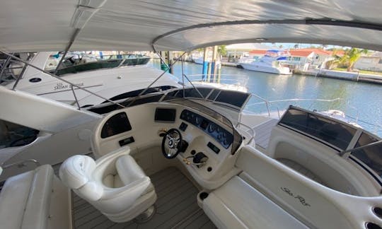 SEA RAY FLYBRIDGE IS READY FOR YOUR PARTY AND FRIENDS. 1H FREE ON WEEK DAYS.