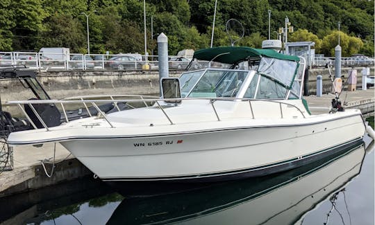 31' Pursuit Denali for Charter and Cruises in Seattle