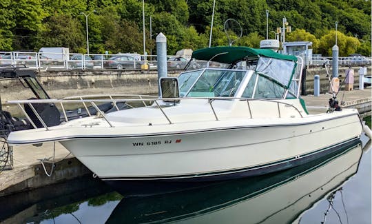31' Pursuit Denali for Charter and Cruises in Seattle
