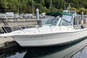 31' Pursuit Denali for Charter and Cruises in Seattle