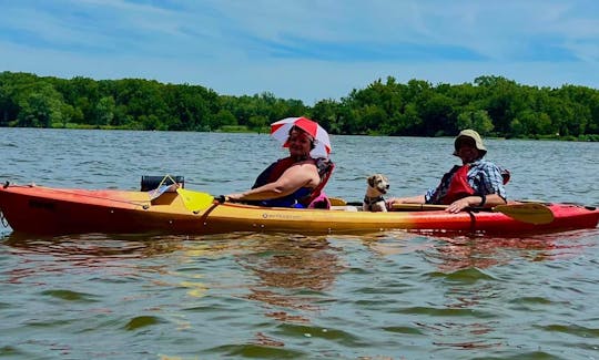 kayaking dog
