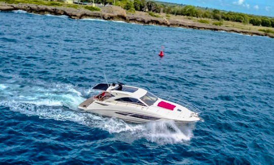 55ft SeaRay Sundancer Private Yacht from Casa de Campo to Saona, palmilla and Catalina island