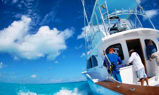 🐠🌊🔥Private & Shared Power Boats for Deep Sea Fishing in Punta Cana!