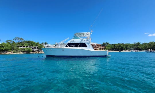 Dolly-Deep Sea Fishing -Totally Private Boat Punta Cana