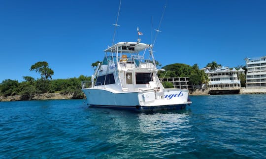 Dolly-Deep Sea Fishing -Totally Private Boat Punta Cana