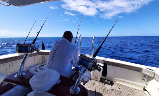 Dolly-PRIVATE BOAT DEEP FISHING FOR GROUPS