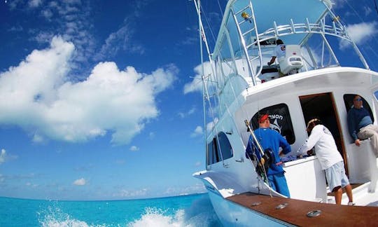 🐠🌊🔥 BATEAU DE LUXE DE PÊCHE EN HAUTE MER PRIVÉ ET À PARTAGER... Power in La Romana