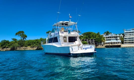 Dolly-Punta Cana Fishing Trip aboard 41ft Sportfisherman Yacht