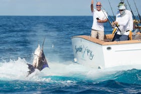 🐠🌊🔥DEEP SEA FISHING LUXURY BAOT PRIVATE AND SHARE Power in Punta Cana