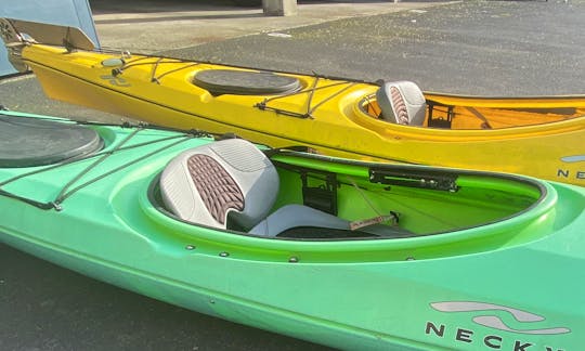 Sea kayaks rental on Lake Union