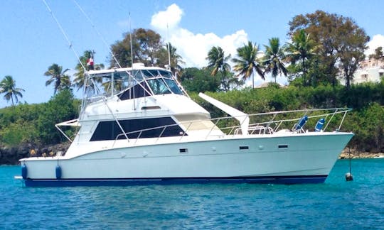 🐠🌊🔥DEEP SEA FISHING LUXURY BAOT PRIVATE AND SHARE...Power in Miches