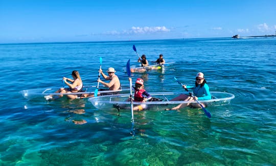 2hr guided Crystal clear kayak and snorkeling tour in Haleiwa