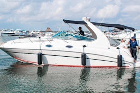 Sea Ray 31 ft  in Cancún