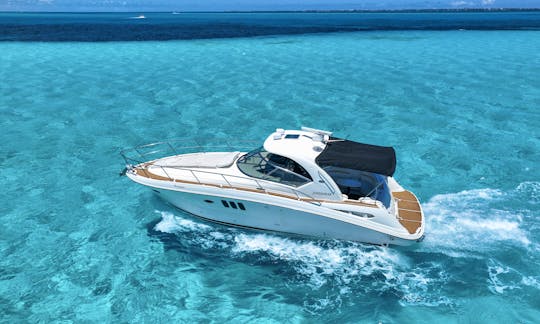 41' Sea Ray WHITE DREAMS for 12 people in Cancún, Quintana Roo