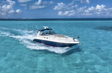 45' Sea Ray AT THE MOMENT for 15 people in Cozumel, Quintana Roo