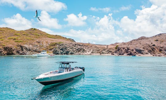 Journée complète depuis Anguilla autour de St Barth.