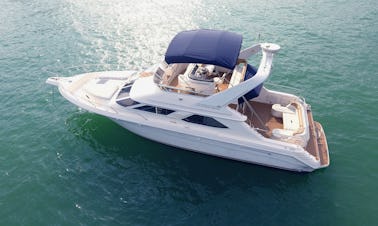 Yacht Sea Ray Flybridge à deux étages de 50 pieds !