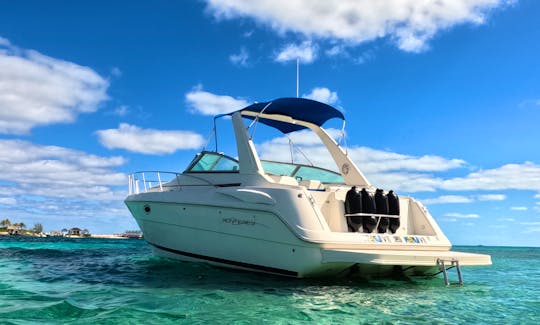 Private Luxury (Rose Island,Snorkeling,Turtles) Half Day Charter