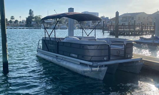 Private Chartered Pontoon Rental in Clearwater