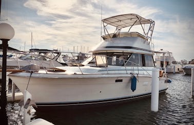 Chicago: Classic Flybridge Cruiser with Captain Included