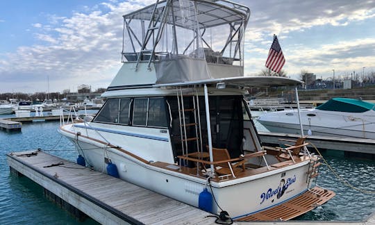 Chicago: Classic Flybridge Cruiser with Captain Included