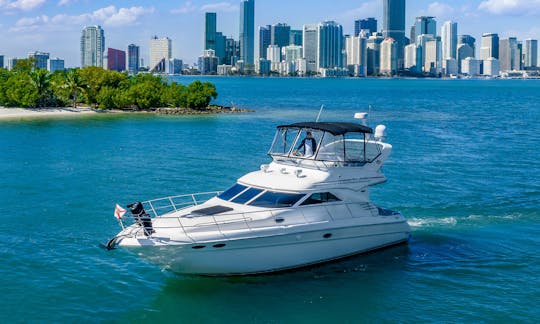 Profitez de Miami à bord d'un yacht à moteur Searay Fly de 47 pieds ! ! !