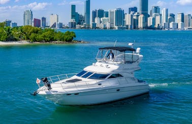 Enjoy Miami In 47' Searay Fly Motor Yacht!!!!