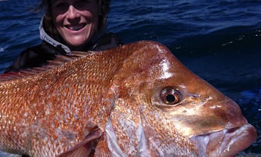 Pesca deportiva guiada con señuelos en Northland, barco de pesca deportiva de 20 pies con 150 CV