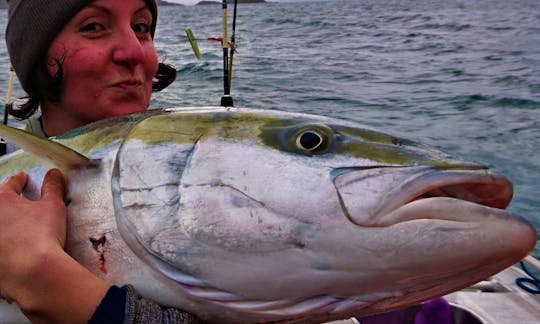 The gulf also has big kingfish to catch