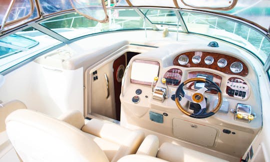 37' Searay Sundancer Motor Yacht in Miami! - $200 OFF MONDAY-THURSDAY!