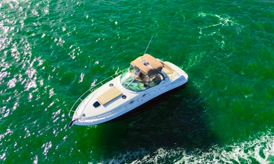Enjoy Miami In 36ft Sea Ray Sundancer Motor Yacht!!!