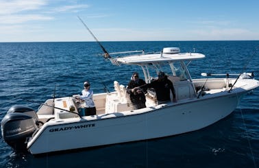 Charleston Private Fishing Charters on 30' Grady-White