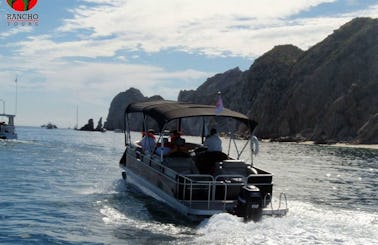 Precious Toon Luxury Tritoon Rental in Cabo San Lucas, Baja California Sur