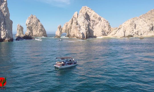 Precious Toon Luxury Tritoon Rental in Cabo San Lucas, Baja California Sur