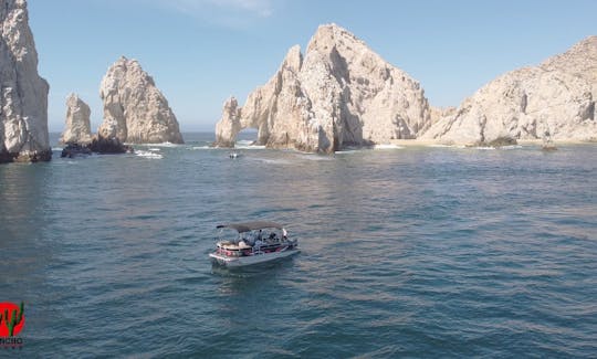 Precious Toon Luxury Tritoon Rental in Cabo San Lucas, Baja California Sur