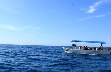 Glass Bottom Boat Tour in Cabo San Lucas, Baja California Sur