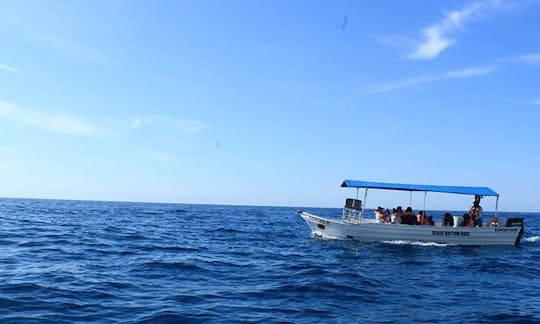 Glass Bottom Boat Tour in Cabo San Lucas, Baja California Sur