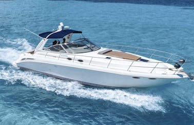 Deal of the Week! Sea Ray 41 Ft Yacht for Rent in Cancun, Mexico
