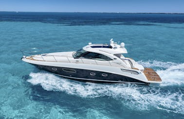 Deal of the Week! Sea Ray 47 Ft Yacht for Rent in Cancun, Mexico