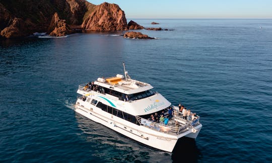 Fully Crewed Ocean Going Boat for charter Phillip Island