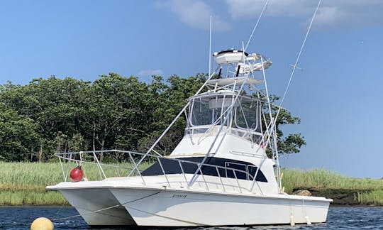 Pesca de tubarão em Newburyport, Massachusetts