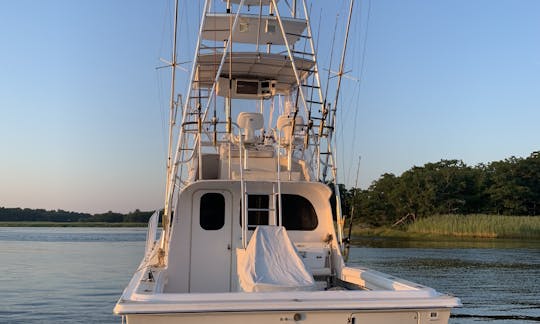 Pesca de tubarão em Newburyport, Massachusetts