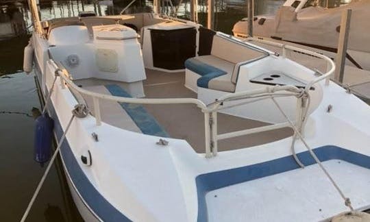 Lake Mead: 26' Pontoon/Deckboat for rent! Room for 13